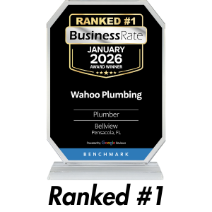 BusinessRate Ranked #1 January 2026 Award Winner — Wahoo Plumbing